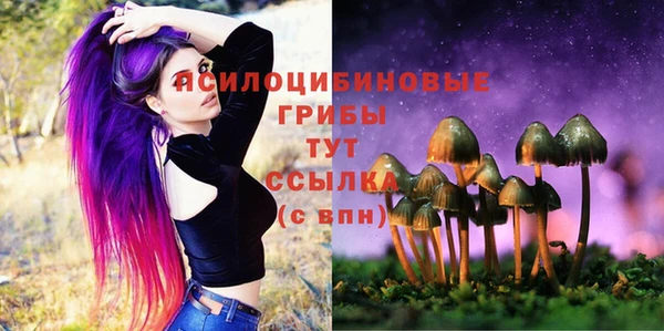 MDMA Premium VHQ Алзамай