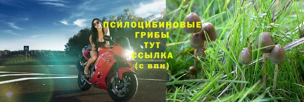 apvp Алексин