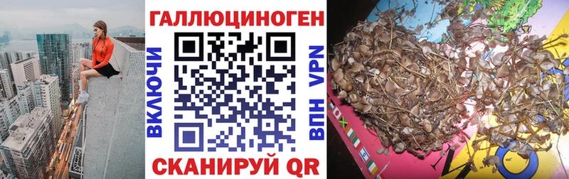 Галлюциногенные грибы Magic Shrooms  Тверь 